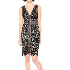 Astr the label lace mini dress